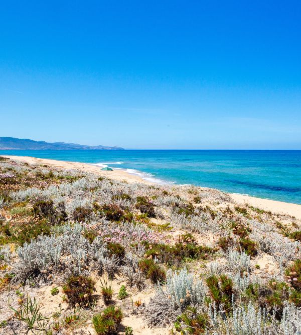 Eine Postkarte von Isola Rossa – Alle Facetten Ihres Urlaubs auf Sardinien